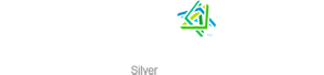 Microsoft Partner